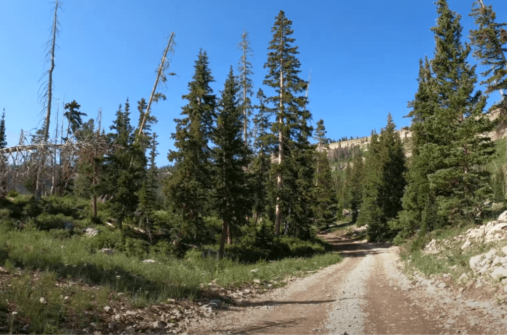 Hitting the Trails: Skyline Drive Trails